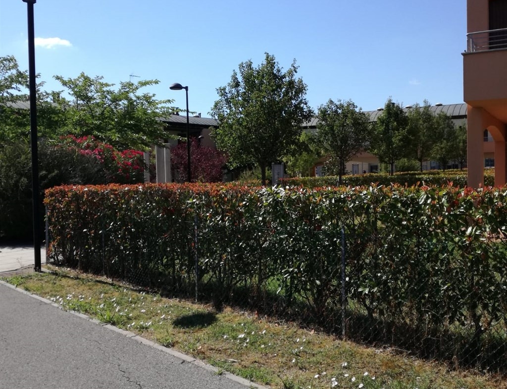 CASALBORSETTI Nord – Porto Turistico