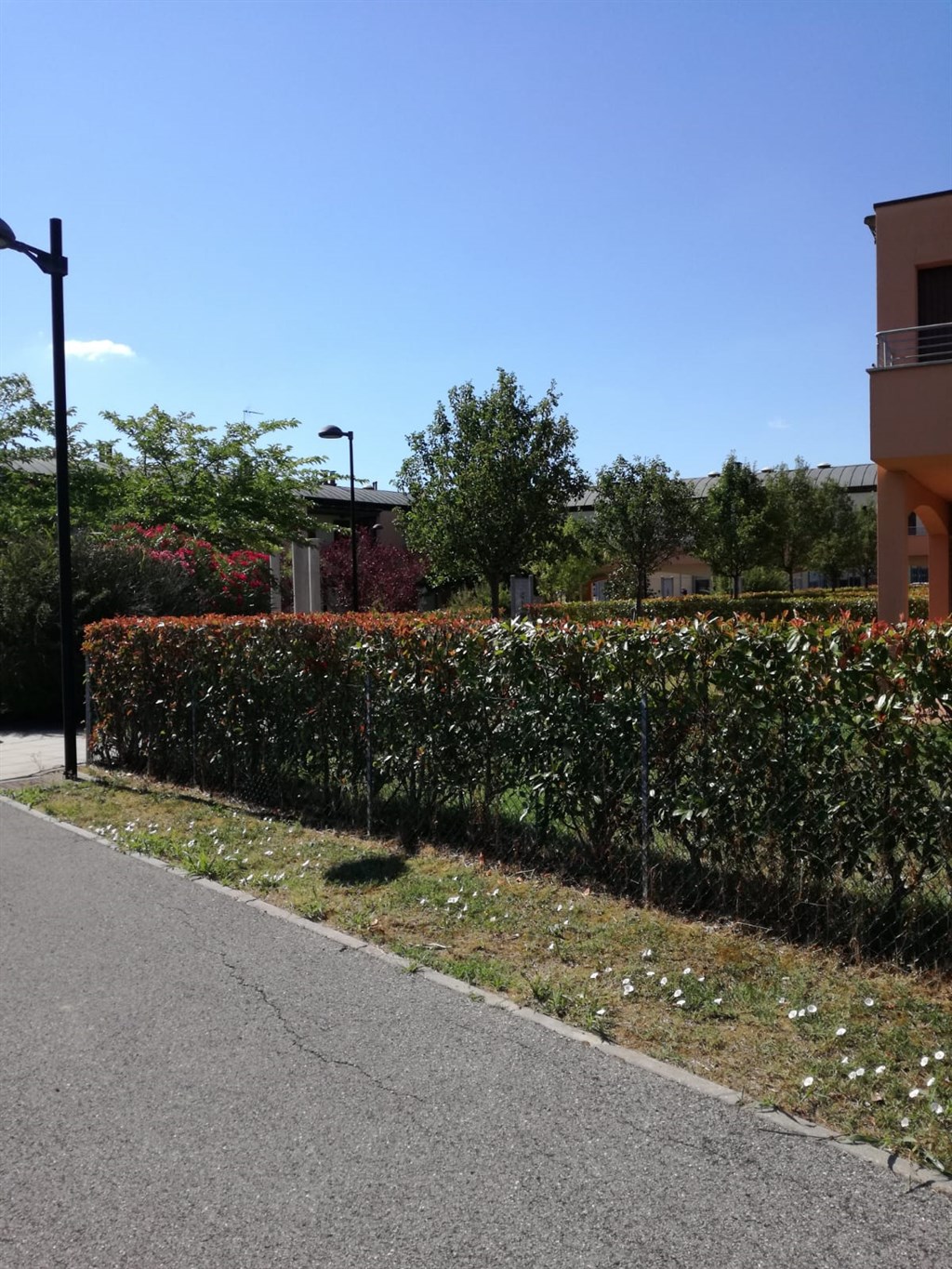 CASALBORSETTI Nord – Porto Turistico
