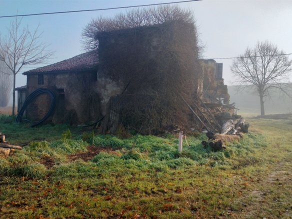 Vendita casa indipendente da ristrutturare con servizi in corpo distaccato ed area cortilizia pertinenziale