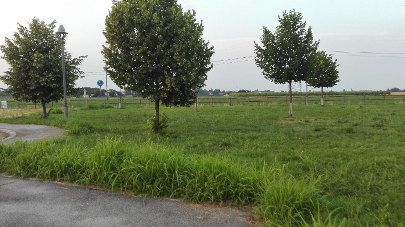 RAVENNA LOC. SAN PIETRO IN CAMPIANO  TERRENO EDIFICABILE