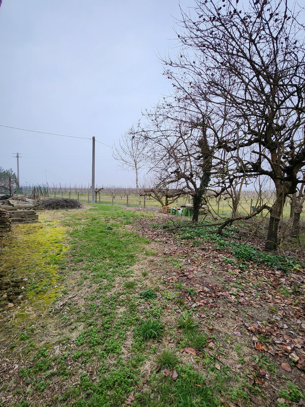 CASA INDIPENDENTE