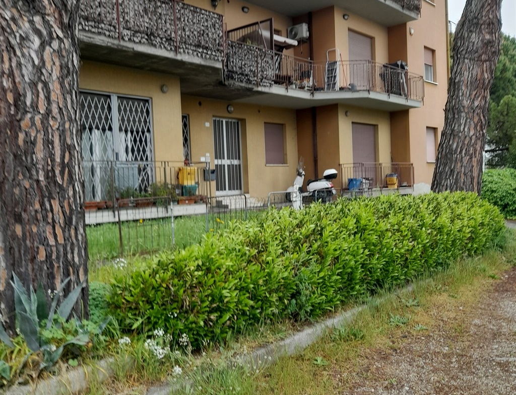 SG177 FORNACE ZARATTINI (RAVENNA) VENDESI AMPIO APPARTAMENTO IN PICCOLO CONDOMINIO