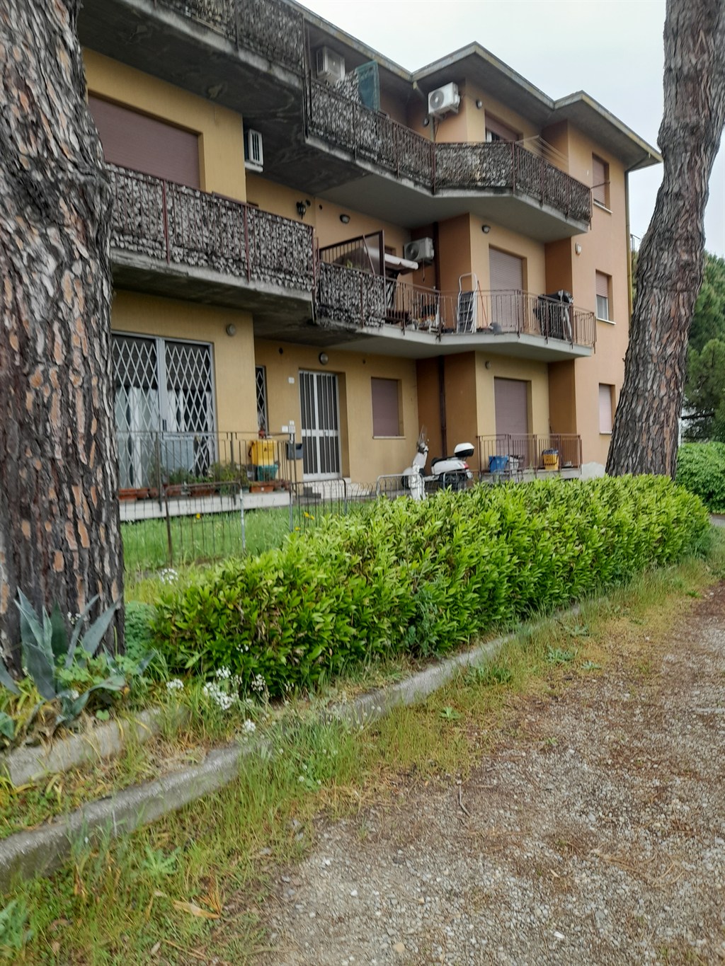 SG177 FORNACE ZARATTINI (RAVENNA) VENDESI AMPIO APPARTAMENTO IN PICCOLO CONDOMINIO