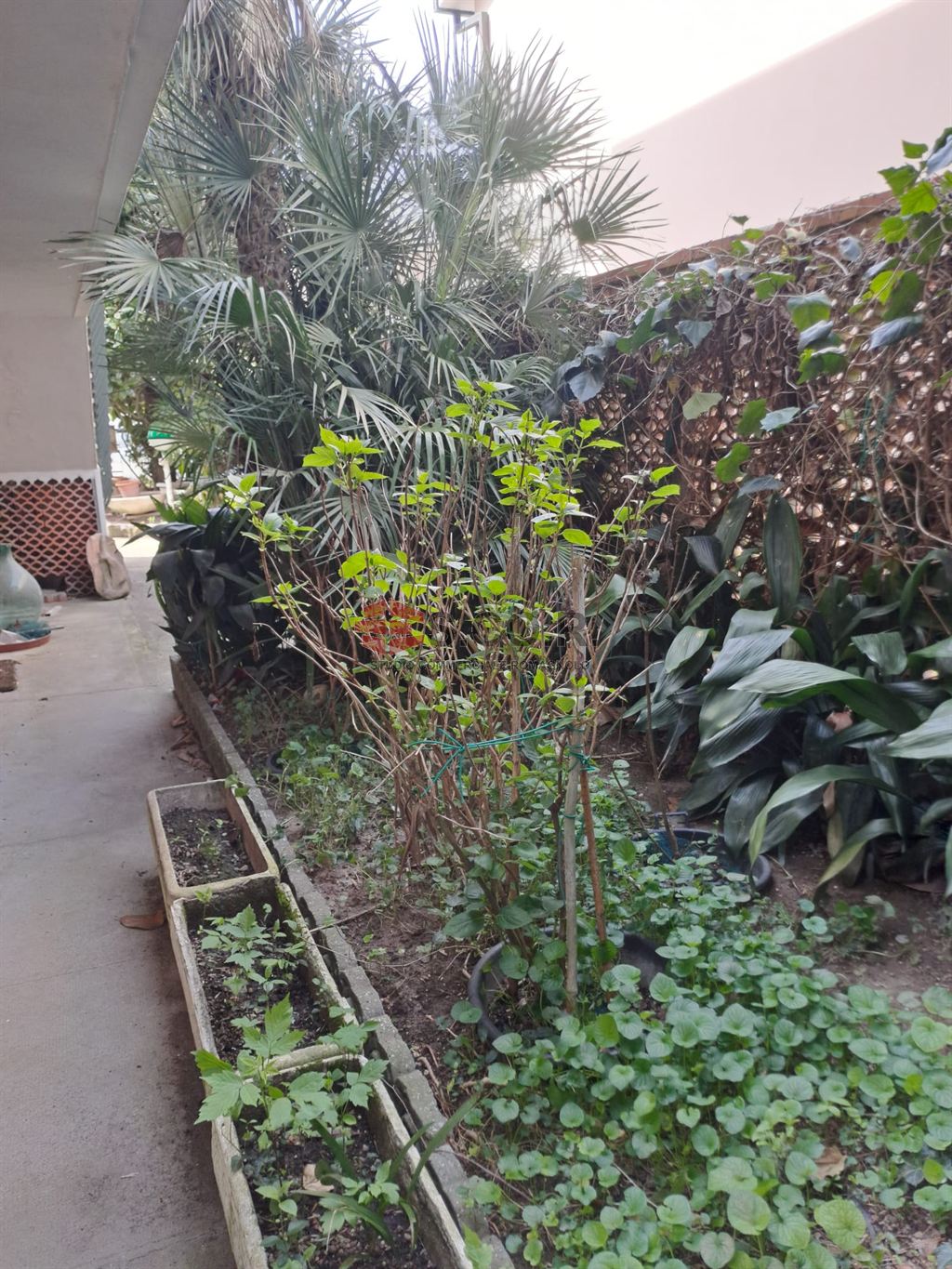 BIFAMILIARE COMPOSTA DA DUE/TRE APPARTAMENTI ZONA SAN BIAGIO