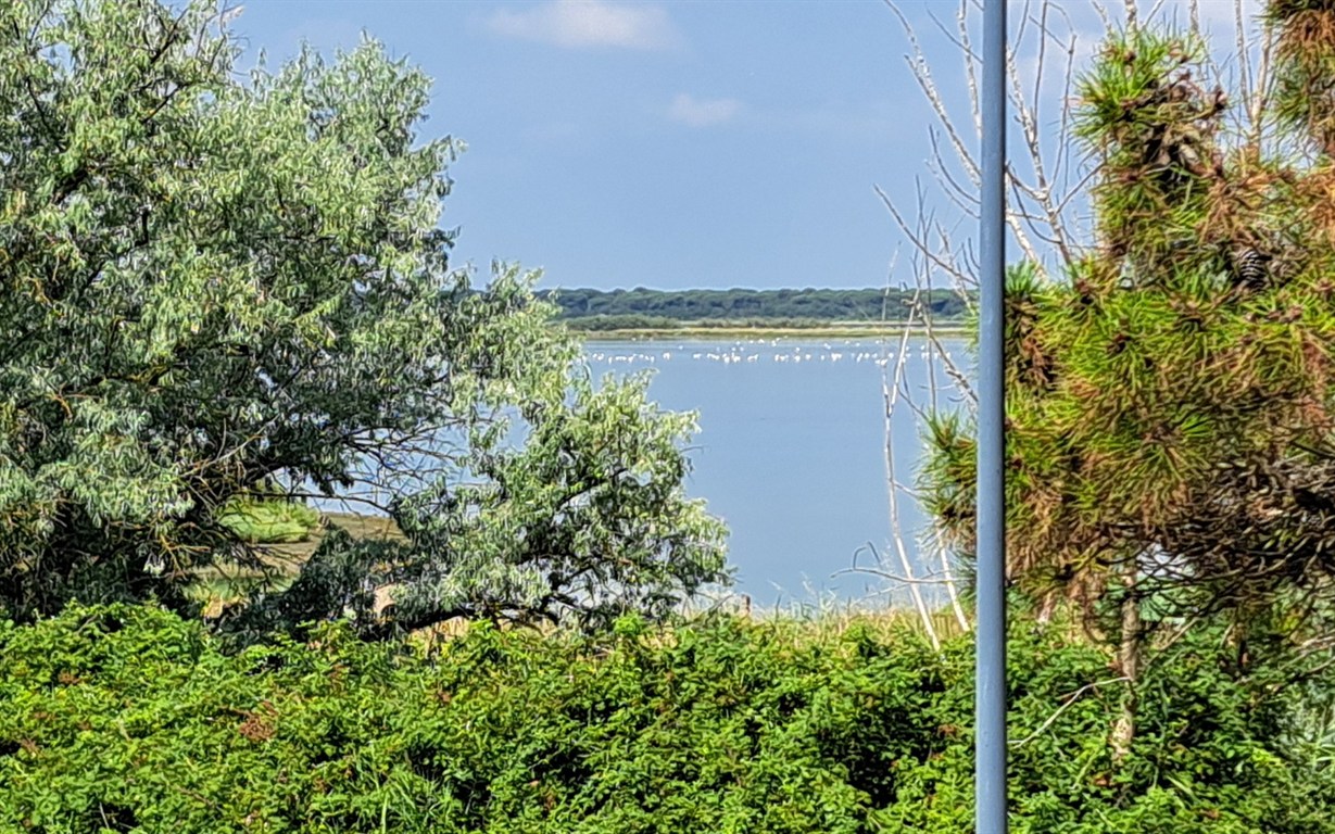 BELLISSIMA VILLA ABBINATA MARINA ROMEA –  tramonti sulla VALLE