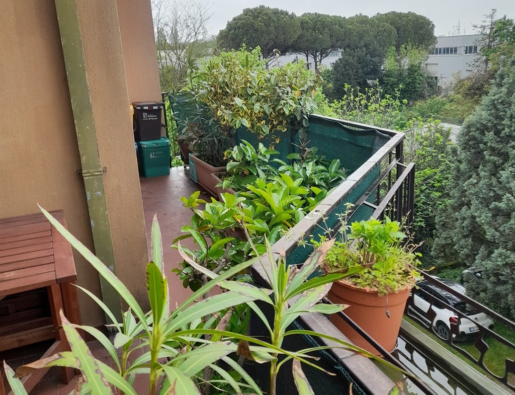 SG177 FORNACE ZARATTINI (RAVENNA) VENDESI AMPIO APPARTAMENTO IN PICCOLO CONDOMINIO