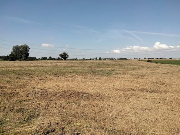 Ravenna San Romualdo terreno Agricolo in vendita