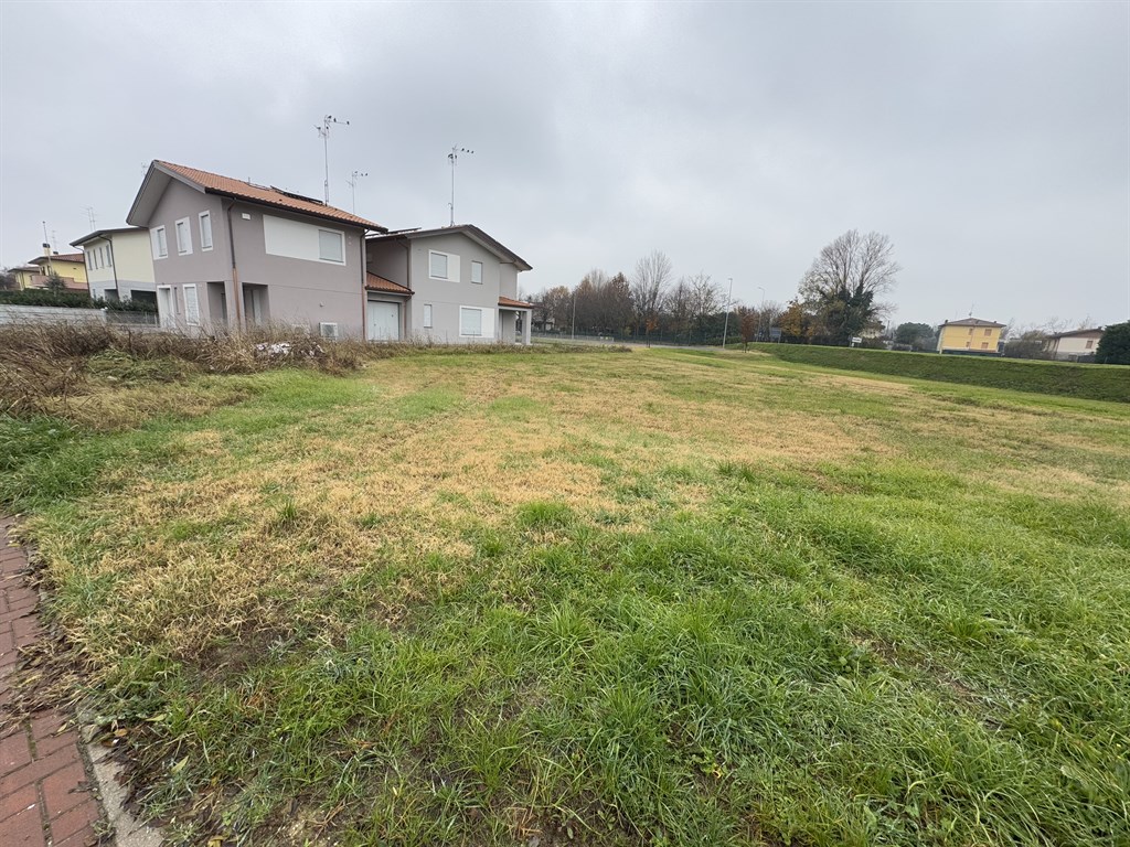 TERRENI EDIFICATORI A COTIGNOLA