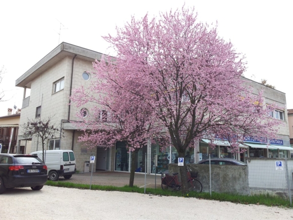 RAVENNA – ZONA OSPEDALE – TRILOCALE
