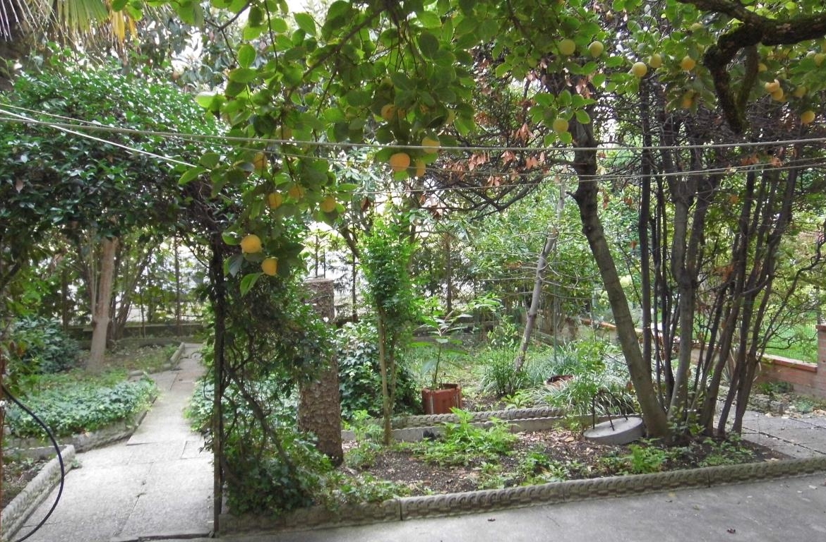 Ravenna Ampio immobile con giardino Rif. D 9441