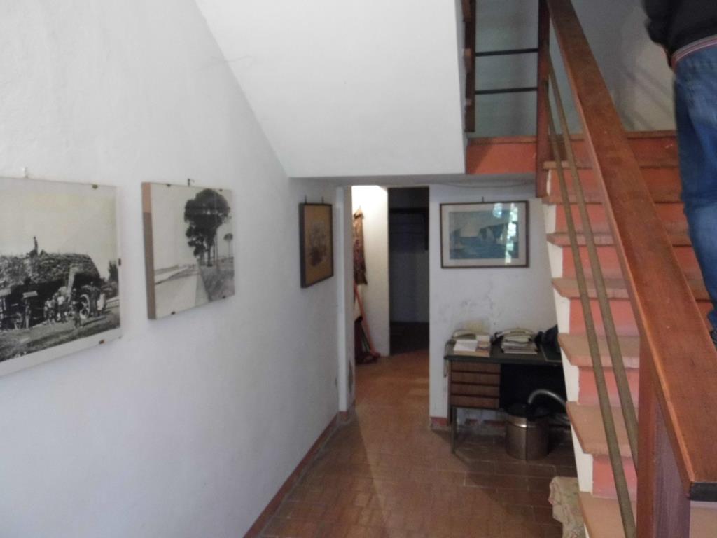 Nord di Ravenna casa di campagna Rif. D9501