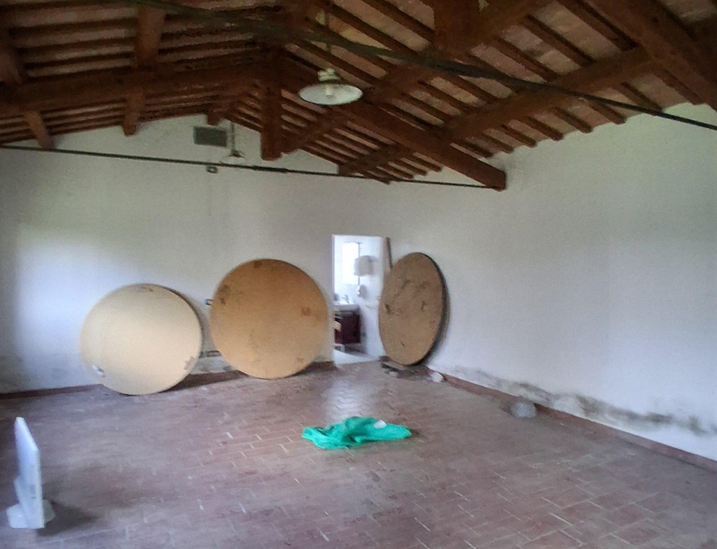 SG480 – FORNACE ZARATTINI (RAVENNA) VENDESI EX RISTORANTE CON PISCINA E AMPIO PARCHEGGIO