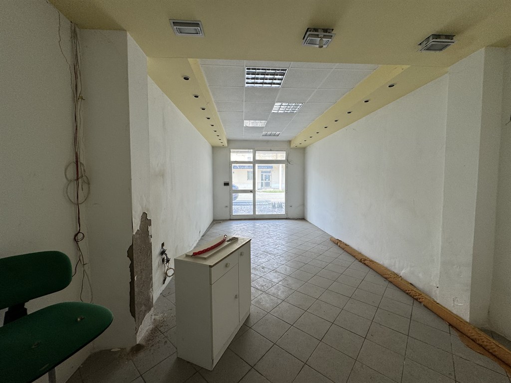 FZMS95, NEGOZIO A LONGASTRINO