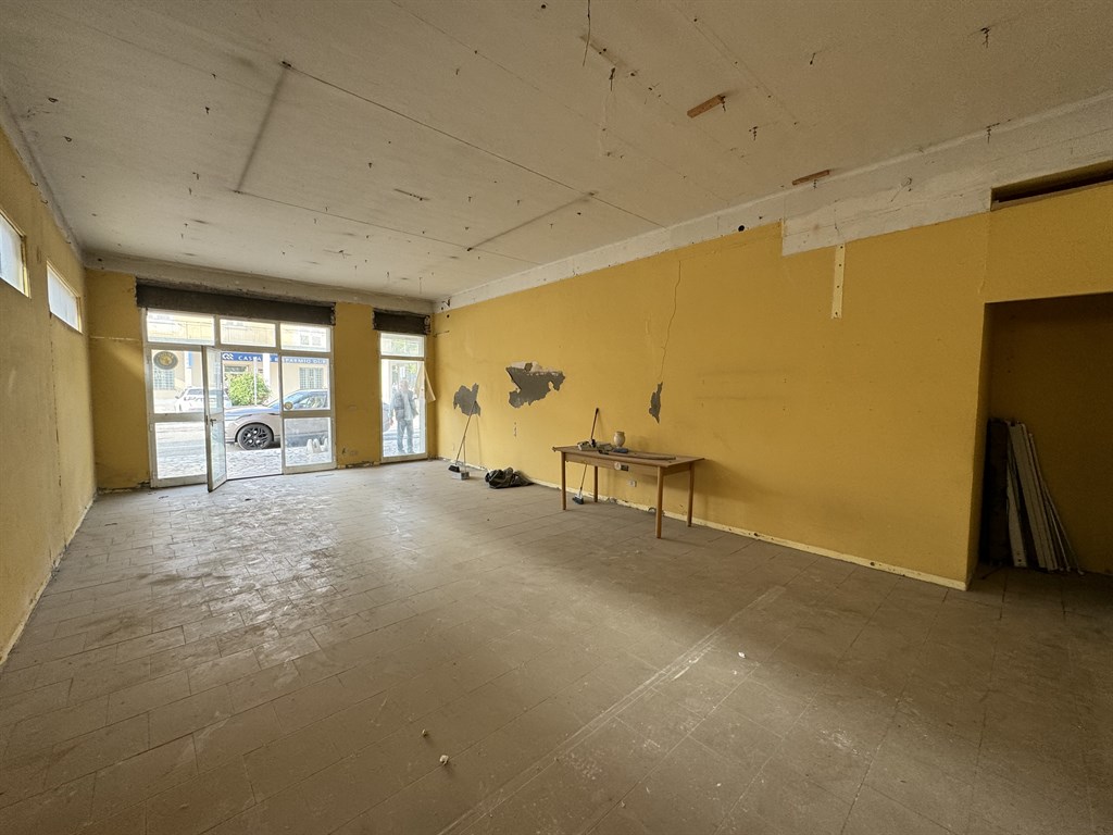 FZMS96, NEGOZIO A LONGASTRINO